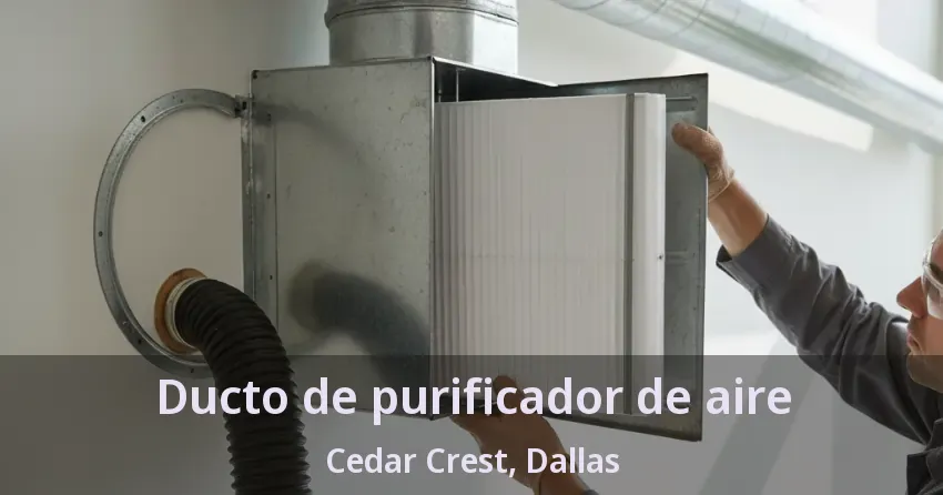 Ducto de purificador de aire Cedar Crest, Dallas - TX