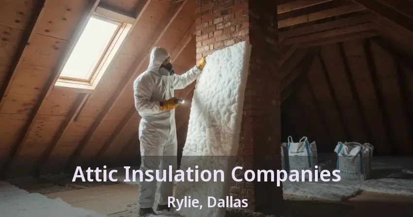 Attic Insulation Companies Rylie, Dallas - TX