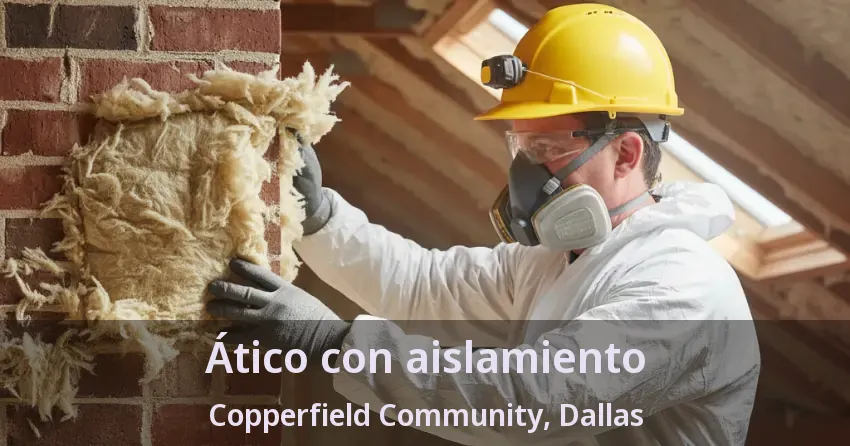 Ático con aislamiento Copperfield Community, Dallas - TX