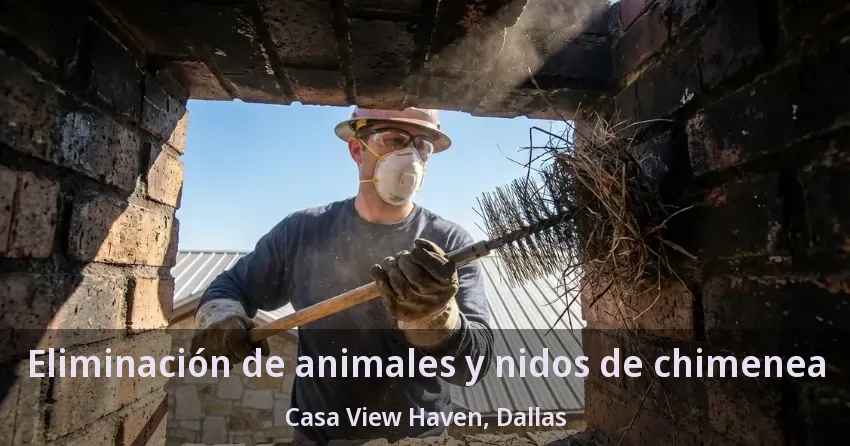 Eliminación de animales y nidos de chimenea Casa View Haven, Dallas - TX
