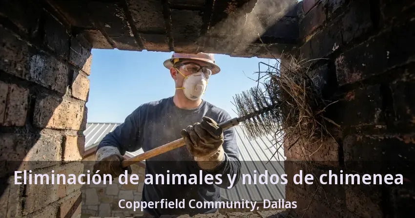 Eliminación de animales y nidos de chimenea Copperfield Community, Dallas - TX Eliminación de animales y nidos de chimenea Copperfield Community, Dallas - TX