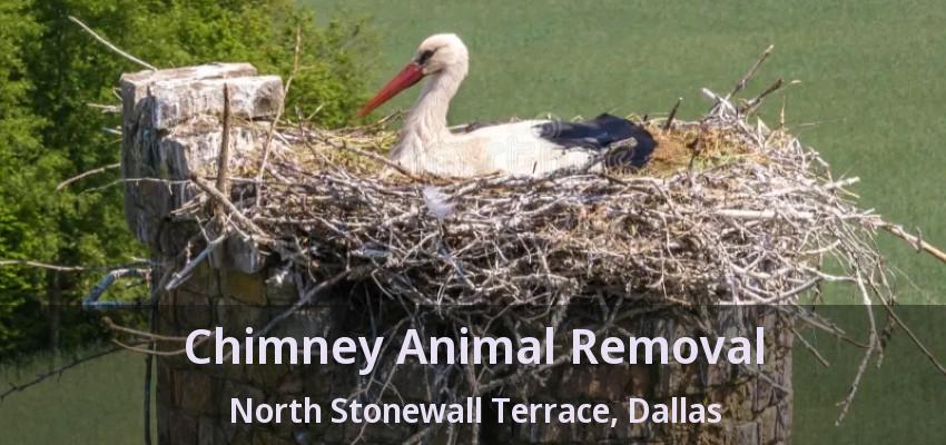Chimney Animal Removal North Stonewall Terrace, Dallas - TX