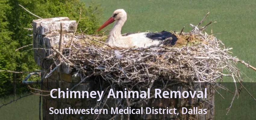 Chimney Animal Removal Southwestern Medical District, Dallas - TX