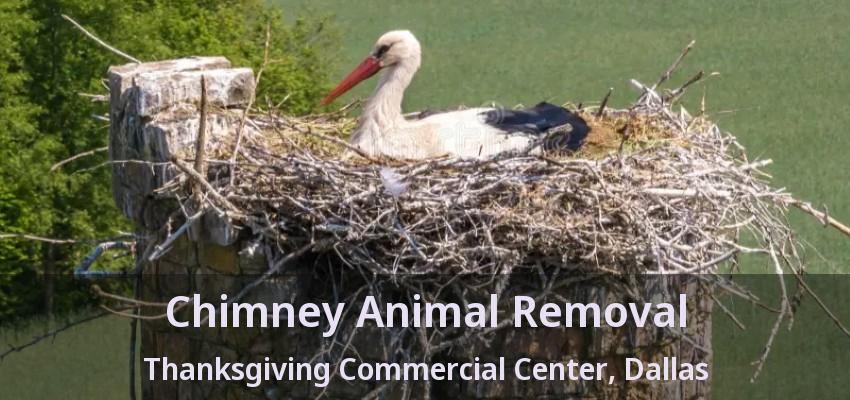 Chimney Animal Removal Thanksgiving Commercial Center, Dallas - TX