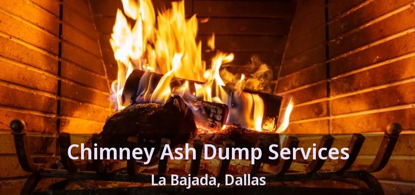 Chimney Ash Dump Services La Bajada, Dallas - TX