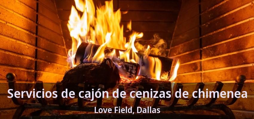 Servicios de cajón de cenizas de chimenea Love Field, Dallas - TX