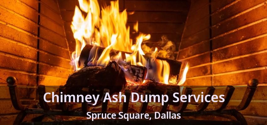 Chimney Ash Dump Services Spruce Square, Dallas - TX
