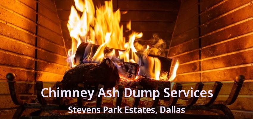 Chimney Ash Dump Services Stevens Park Estates, Dallas - TX
