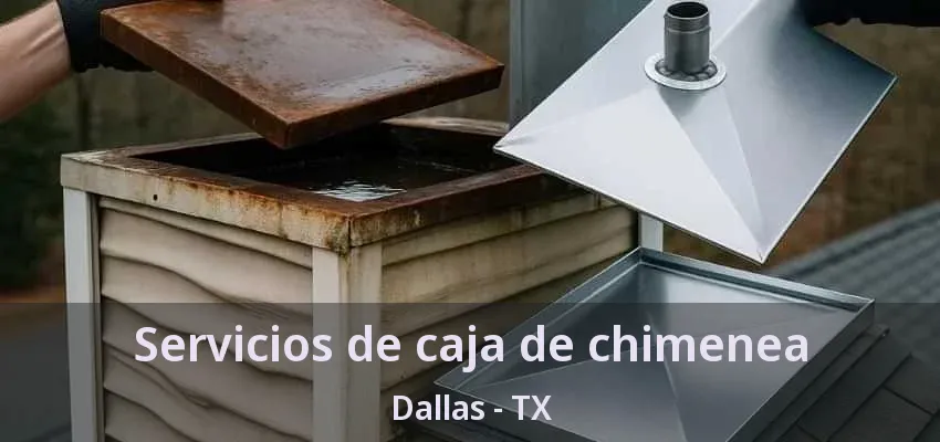 Servicios de caja de chimenea Dallas - TX