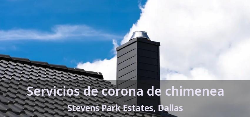 Servicios de corona de chimenea Stevens Park Estates, Dallas - TX
