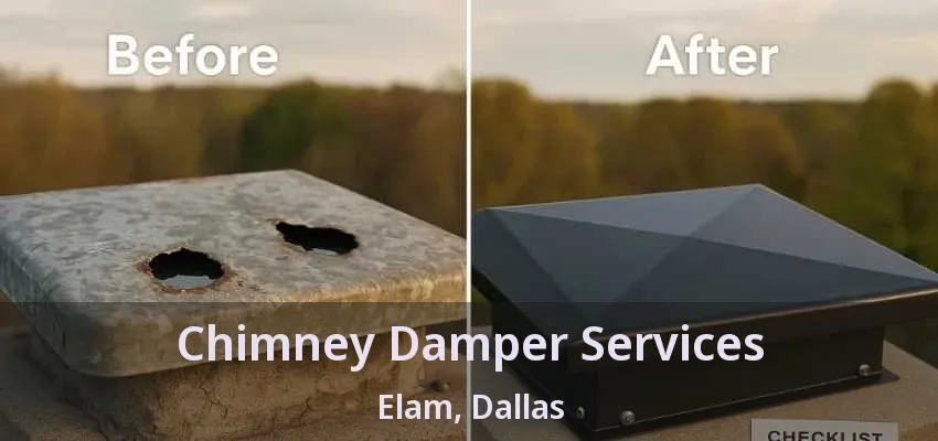 Chimney Damper Services Elam, Dallas - TX