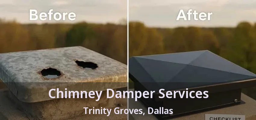 Chimney Damper Services Trinity Groves, Dallas - TX