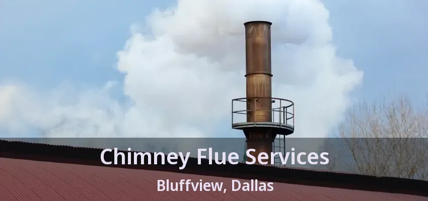 Chimney Flue Services Bluffview, Dallas - TX