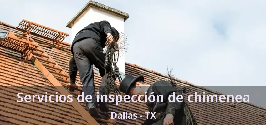 Servicios de inspección de chimenea Dallas - TX