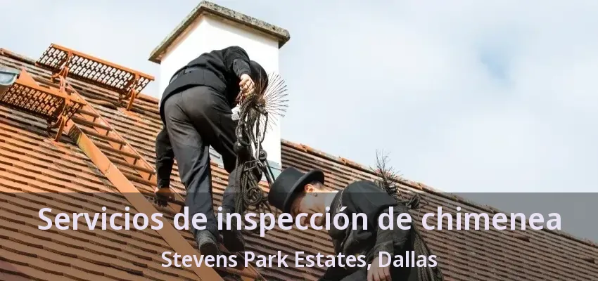 Servicios de inspección de chimenea Stevens Park Estates, Dallas - TX