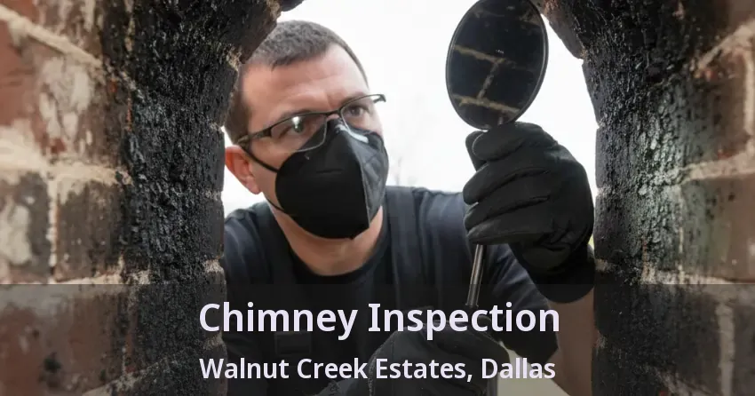 Chimney Inspection Walnut Creek Estates, Dallas - TX