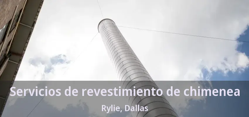 Servicios de revestimiento de chimenea Rylie, Dallas - TX