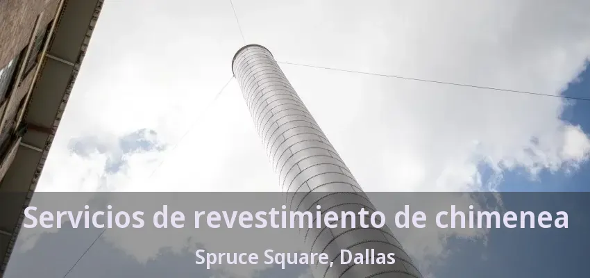 Servicios de revestimiento de chimenea Spruce Square, Dallas - TX