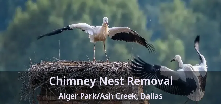 Chimney Nest Removal Alger Park/Ash Creek, Dallas - TX