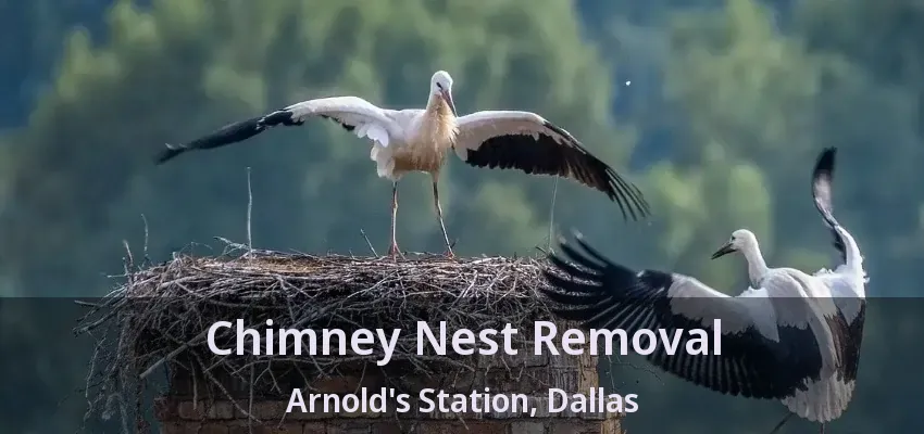 Chimney Nest Removal Arnold's Station, Dallas - TX