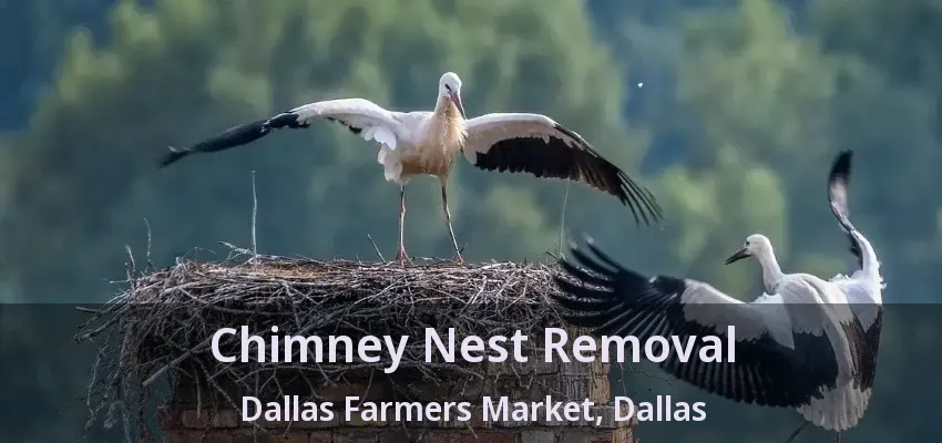 Chimney Nest Removal Dallas Farmers Market, Dallas - TX
