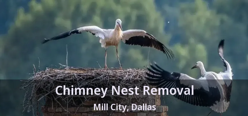 Chimney Nest Removal Mill City, Dallas - TX