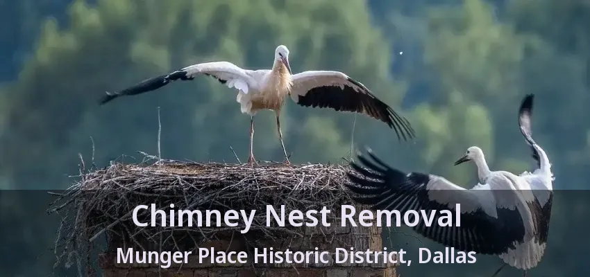 Chimney Nest Removal Munger Place Historic District, Dallas - TX