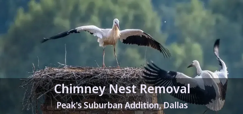 Chimney Nest Removal Peak's Suburban Addition, Dallas - TX