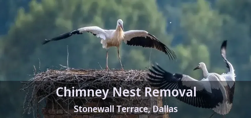 Chimney Nest Removal Stonewall Terrace, Dallas - TX