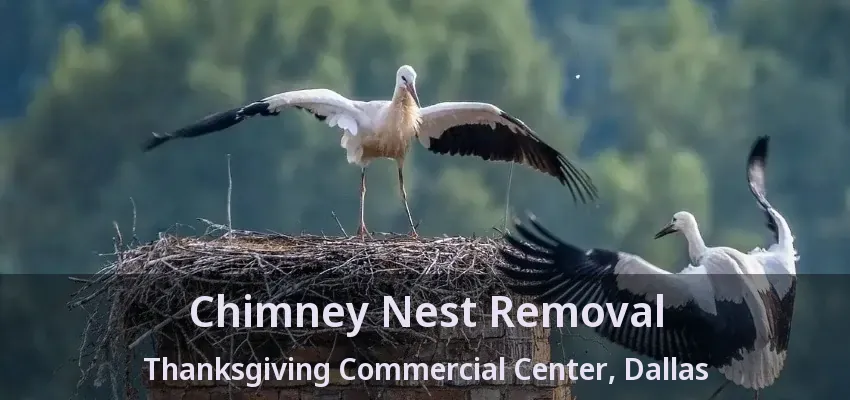 Chimney Nest Removal Thanksgiving Commercial Center, Dallas - TX