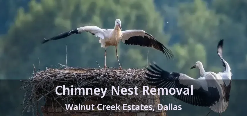Chimney Nest Removal Walnut Creek Estates, Dallas - TX
