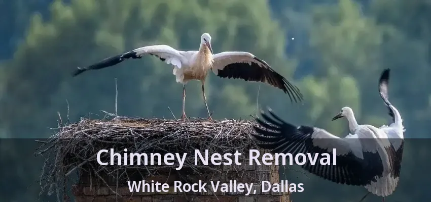 Chimney Nest Removal White Rock Valley, Dallas - TX
