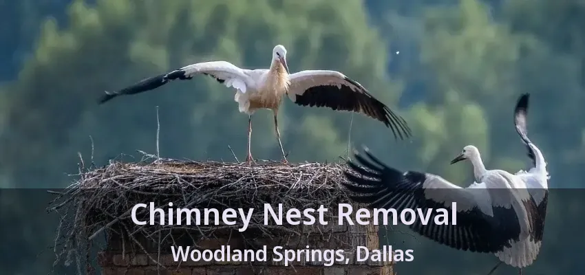 Chimney Nest Removal Woodland Springs, Dallas - TX
