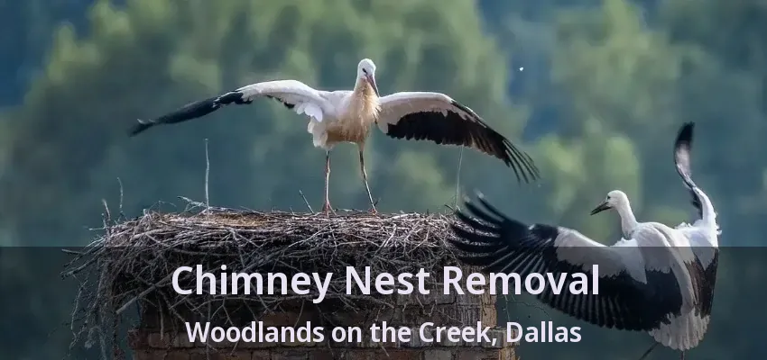 Chimney Nest Removal Woodlands on the Creek, Dallas - TX