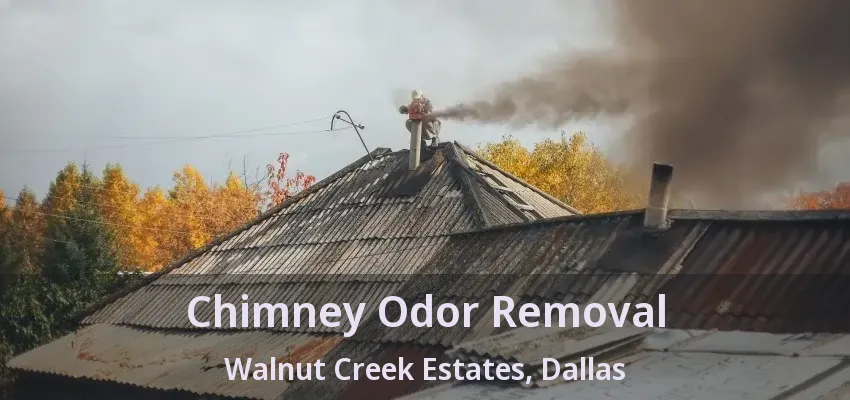Chimney Odor Removal Walnut Creek Estates, Dallas - TX