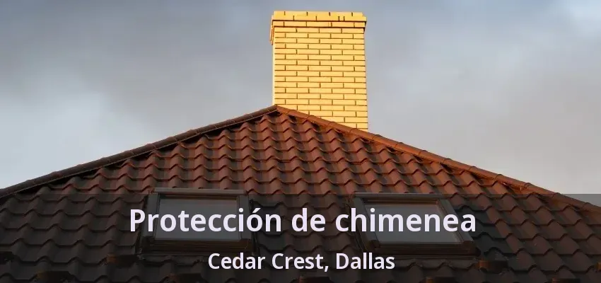 Protección de chimenea Cedar Crest, Dallas - TX