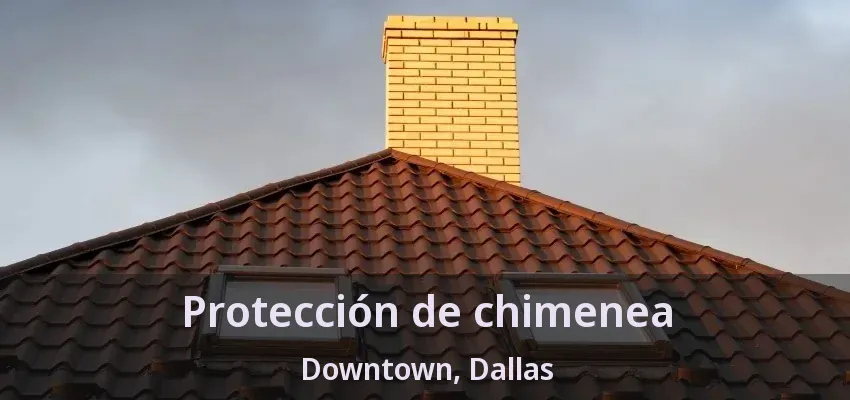 Protección de chimenea Downtown, Dallas - TX