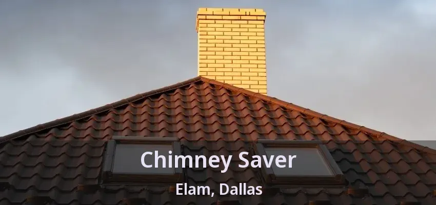 Chimney Saver Elam, Dallas - TX