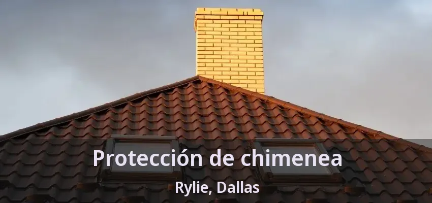 Protección de chimenea Rylie, Dallas - TX Protección de chimenea Rylie, Dallas - TX