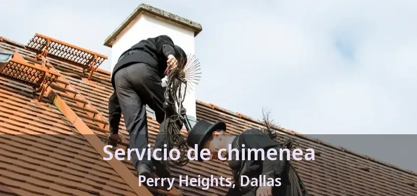 Servicio de chimenea Perry Heights, Dallas - TX