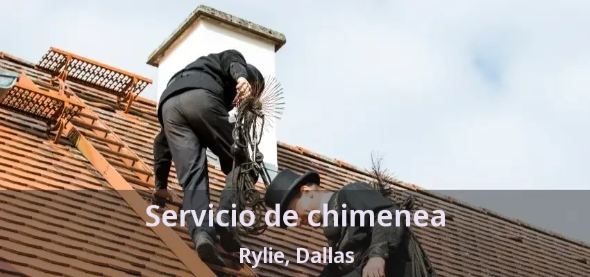 Servicio de chimenea Rylie, Dallas - TX