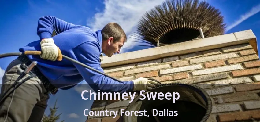 Chimney Sweep Country Forest, Dallas - TX