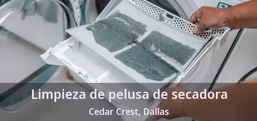Limpieza de pelusa de secadora Cedar Crest, Dallas - TX
