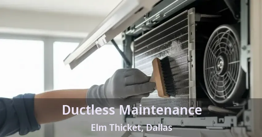 Ductless Maintenance Elm Thicket, Dallas - TX