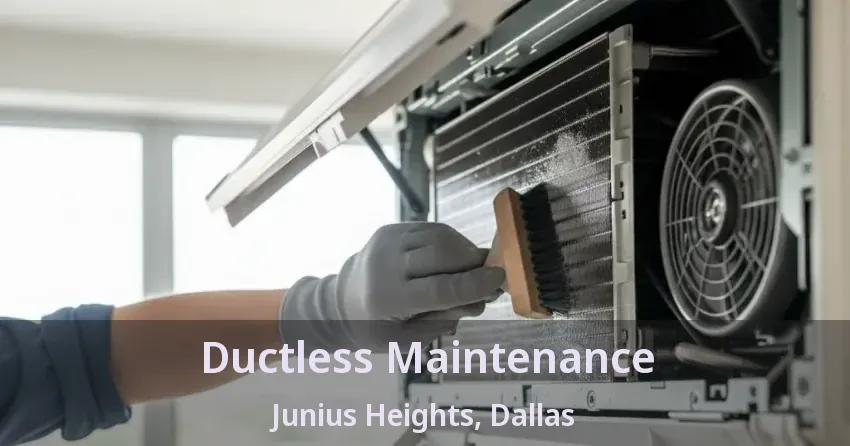 Ductless Maintenance Junius Heights, Dallas - TX