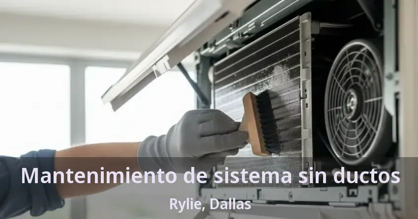 Mantenimiento de sistema sin ductos Rylie, Dallas - TX Mantenimiento de sistema sin ductos Rylie, Dallas - TX