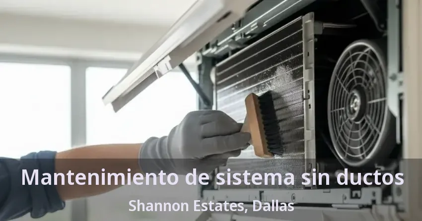 Mantenimiento de sistema sin ductos Shannon Estates, Dallas - TX