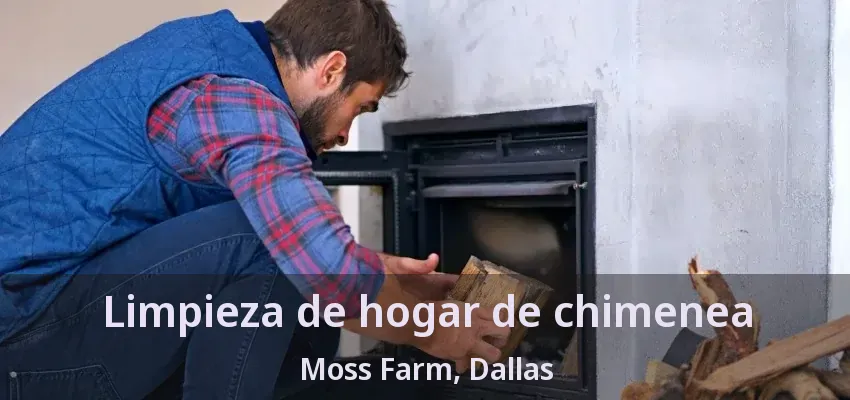 Limpieza de hogar de chimenea Moss Farm, Dallas - TX