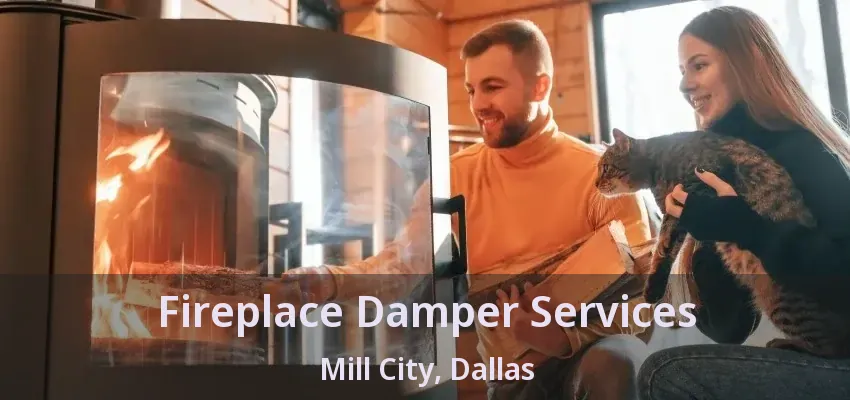 Fireplace Damper Services Mill City, Dallas - TX