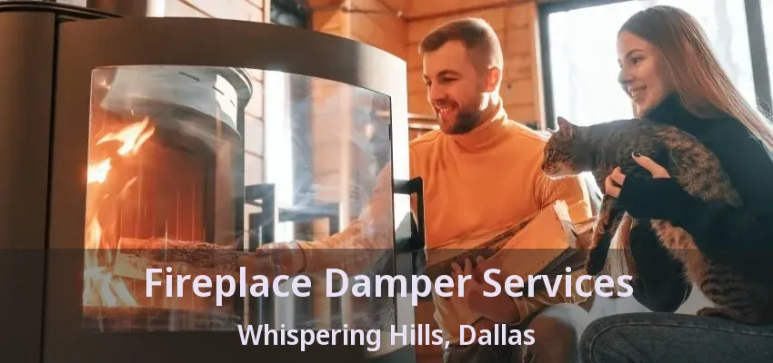 Fireplace Damper Services Whispering Hills, Dallas - TX